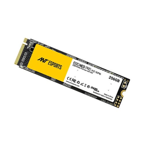 Ant Esports 690 Neo Pro 256GB M.2 NVMe Internal SSD